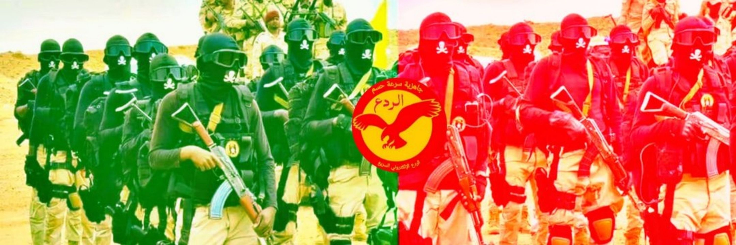 الردع الإلكتروني السريع 🦅