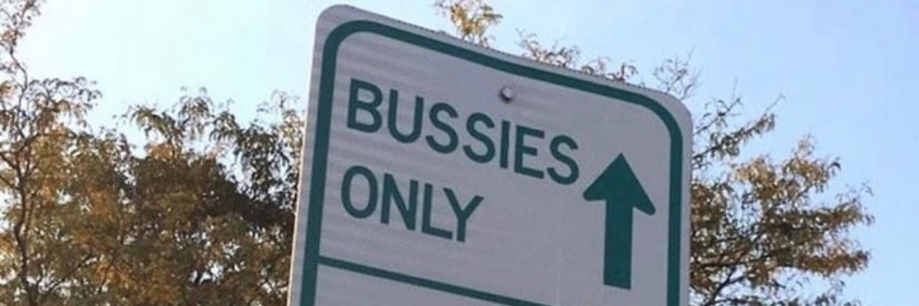 LISubBi