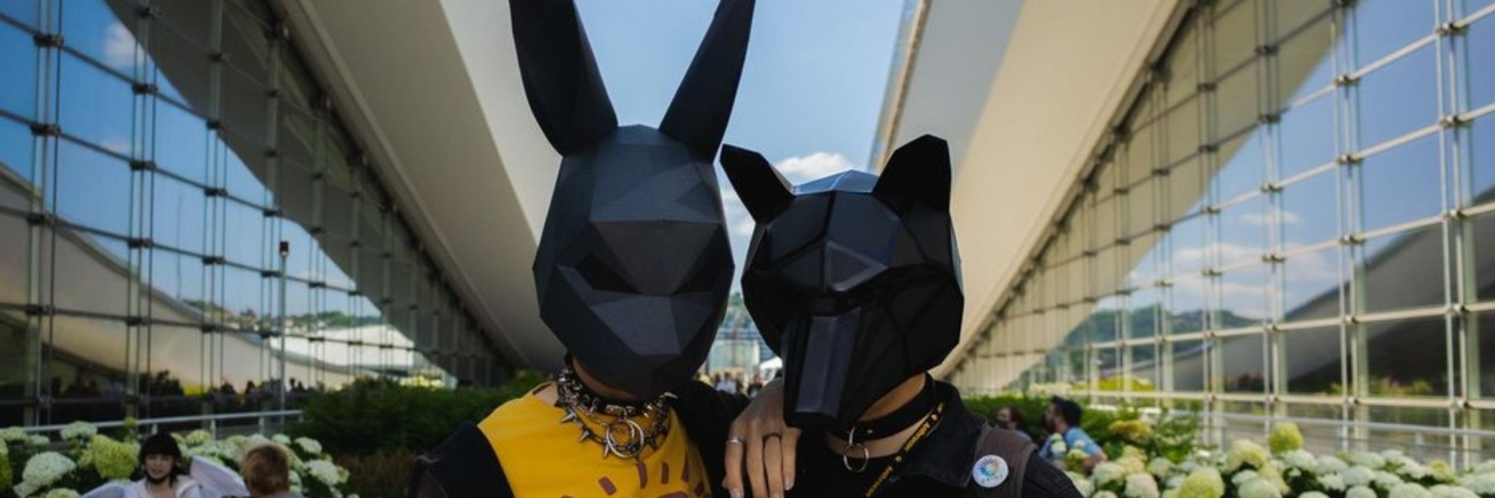 CadoCrossFox