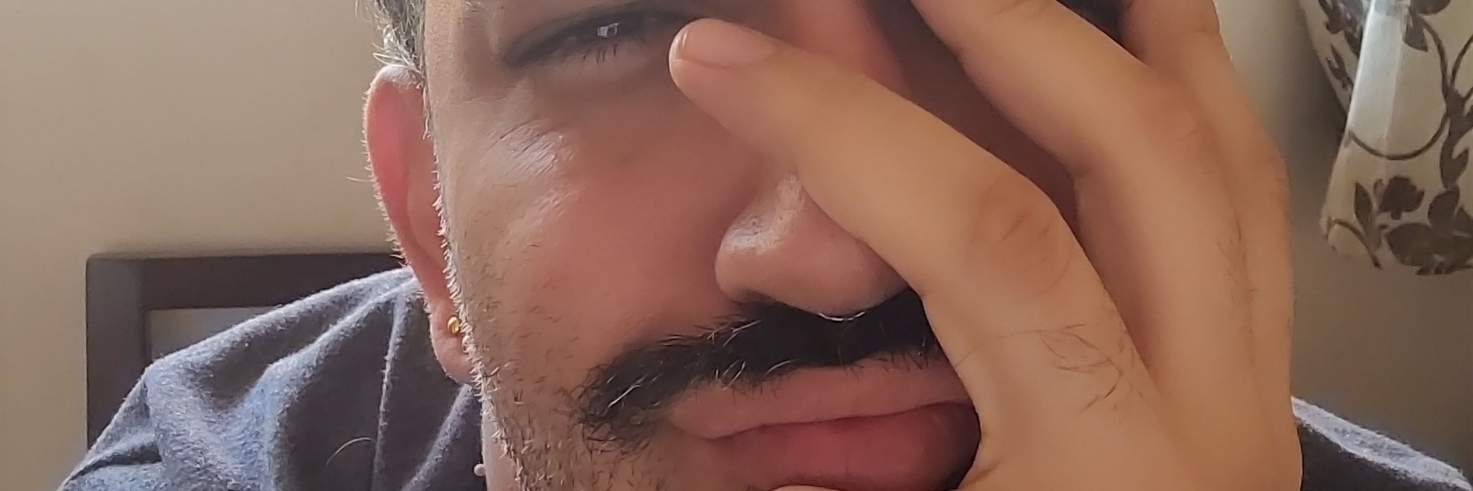 Bear_Dinho