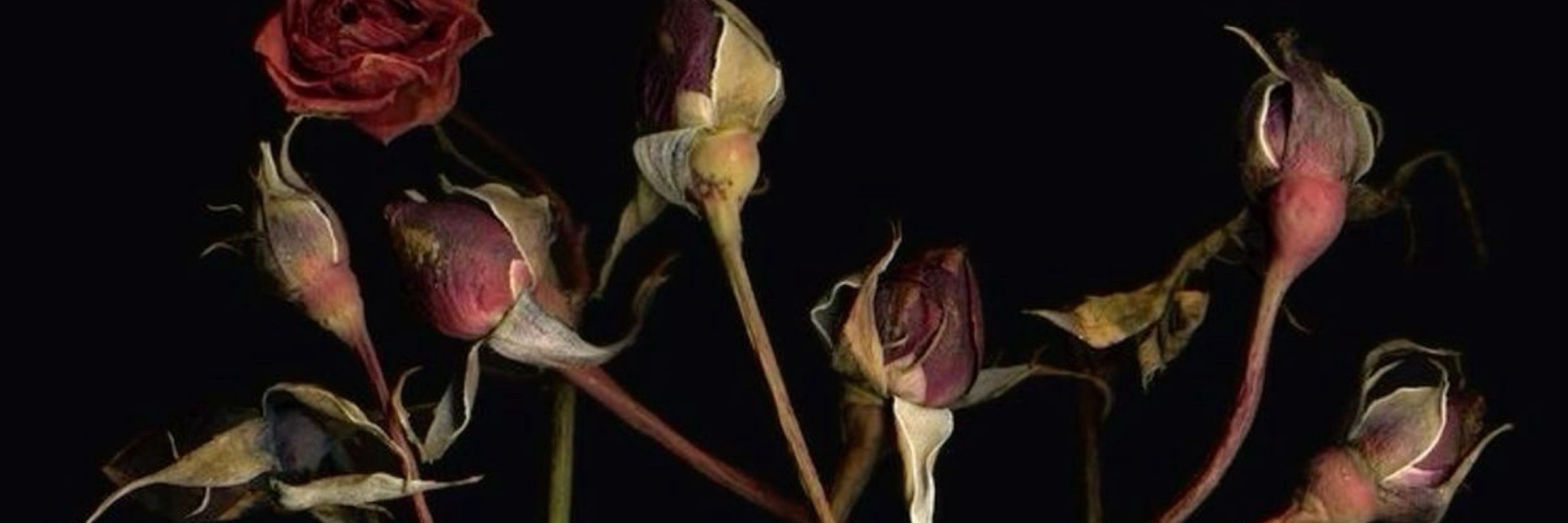 🥀