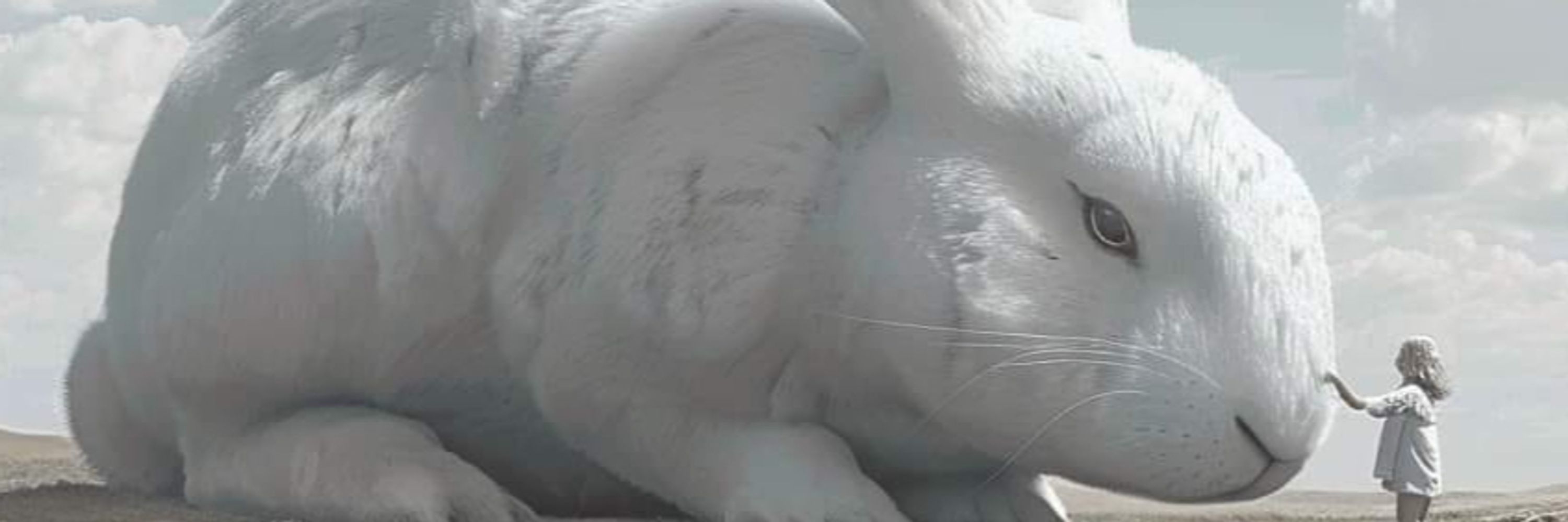 Krax 🐰🐇