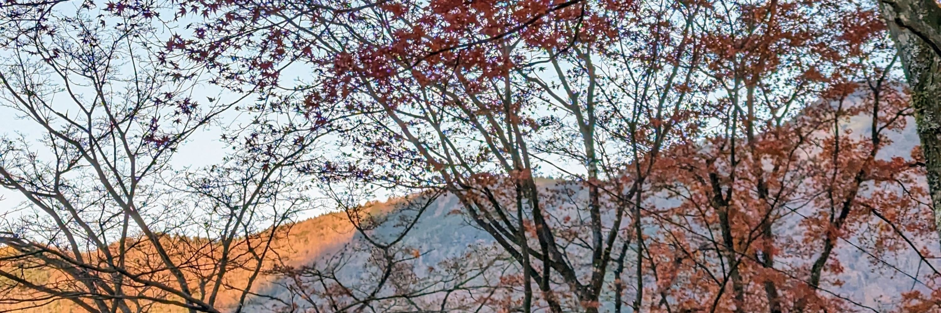 猫山