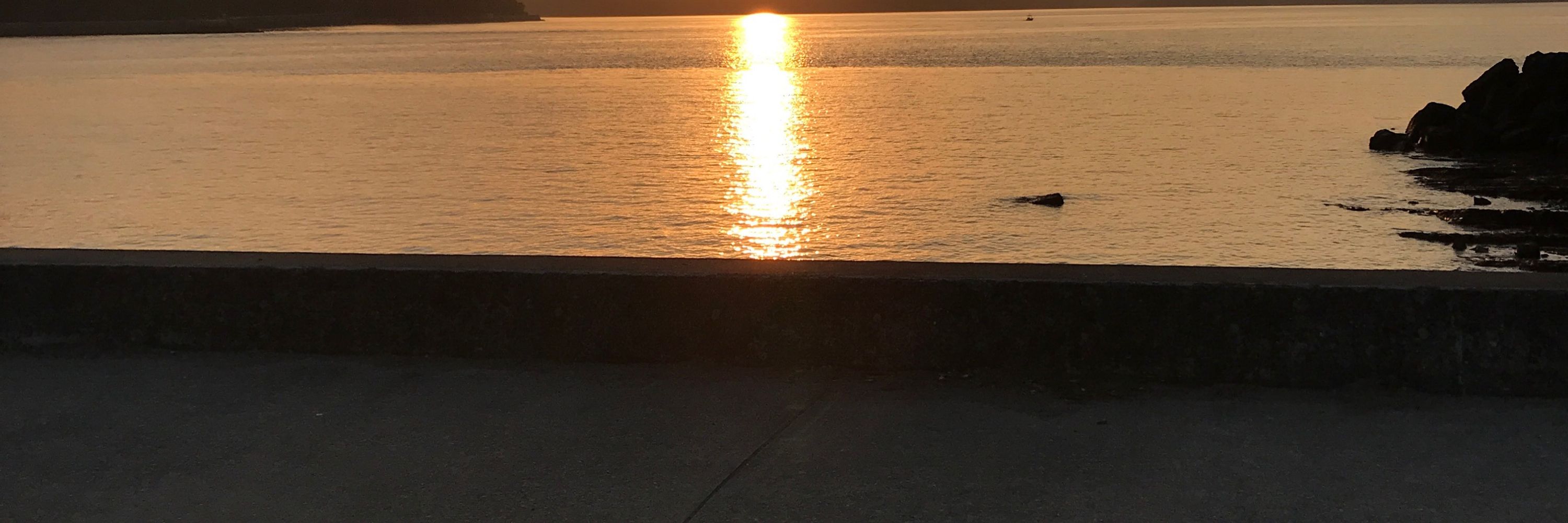 きのっこ