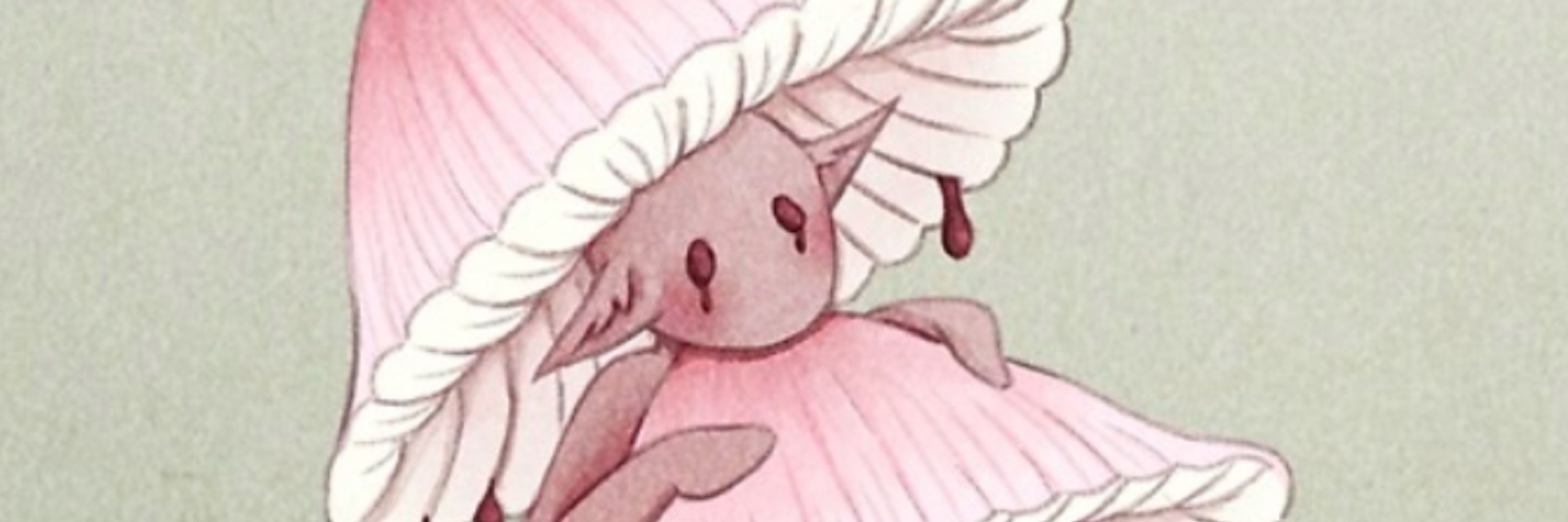 Moth