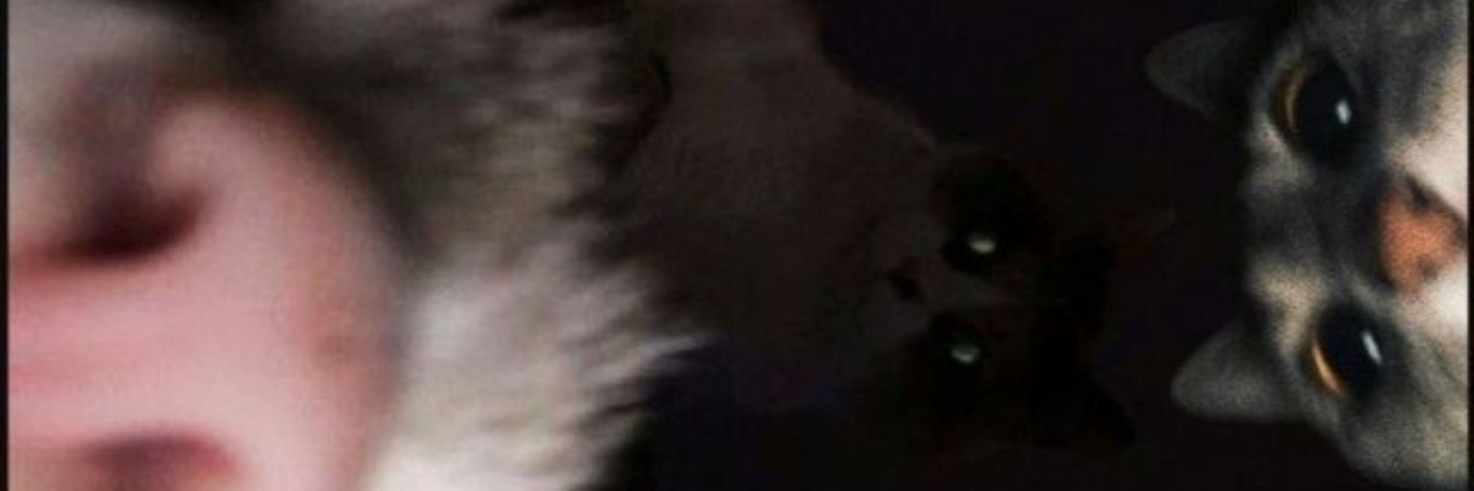 𝖇𝖆𝖊 ᡣ𐭩