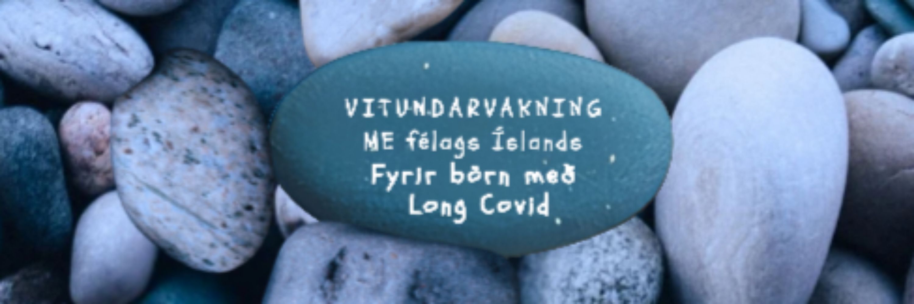 ME félag Íslands