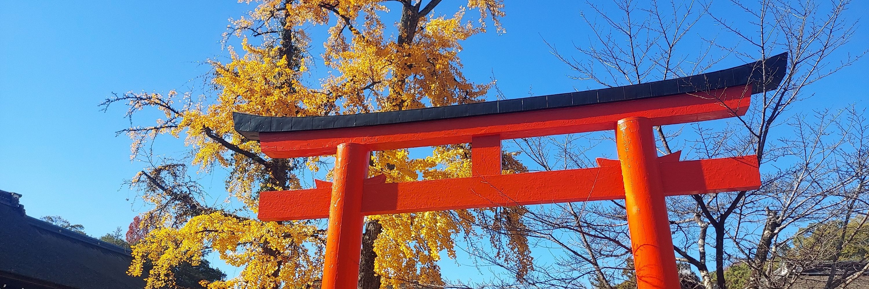 てり〜む