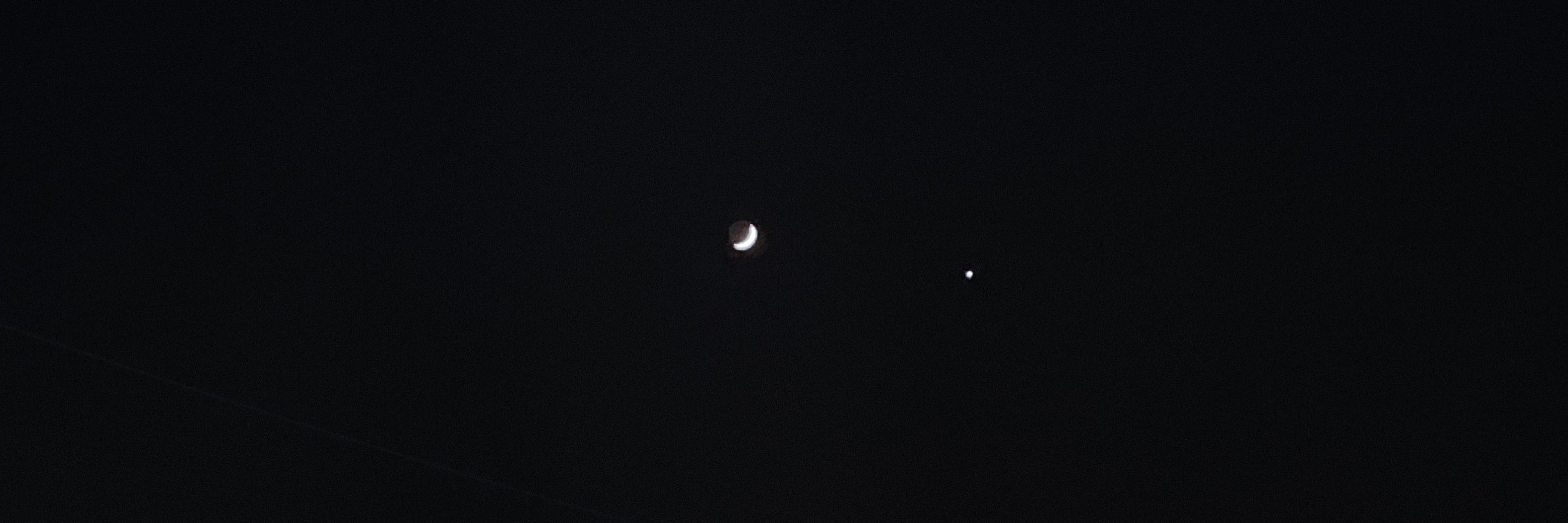 사리