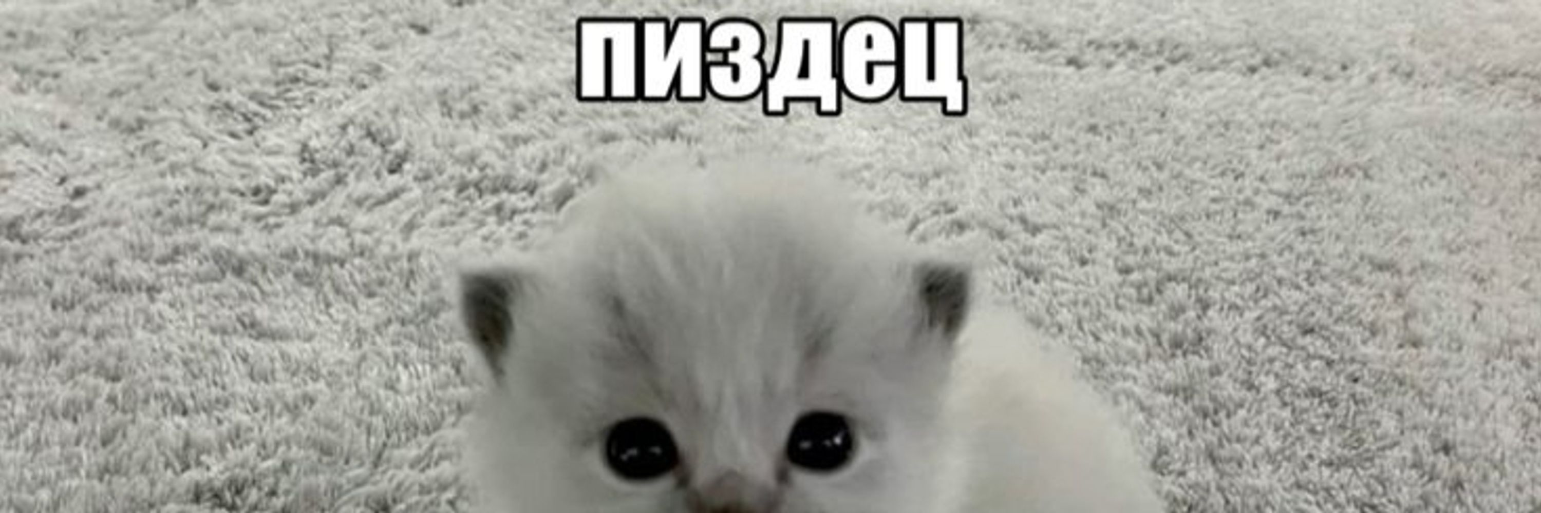 mxngkit
