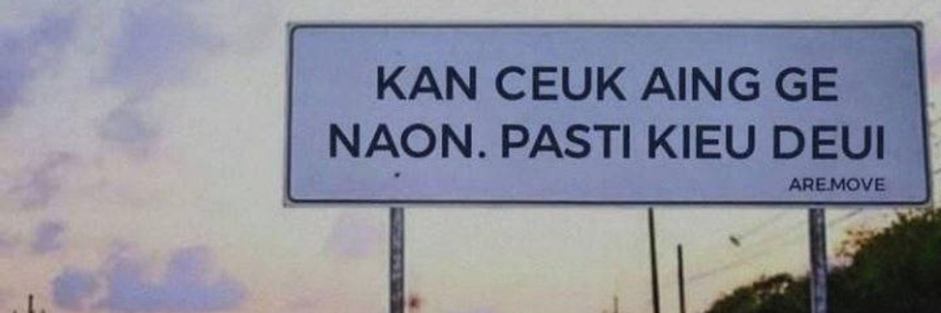 Bapack VaziaVizia