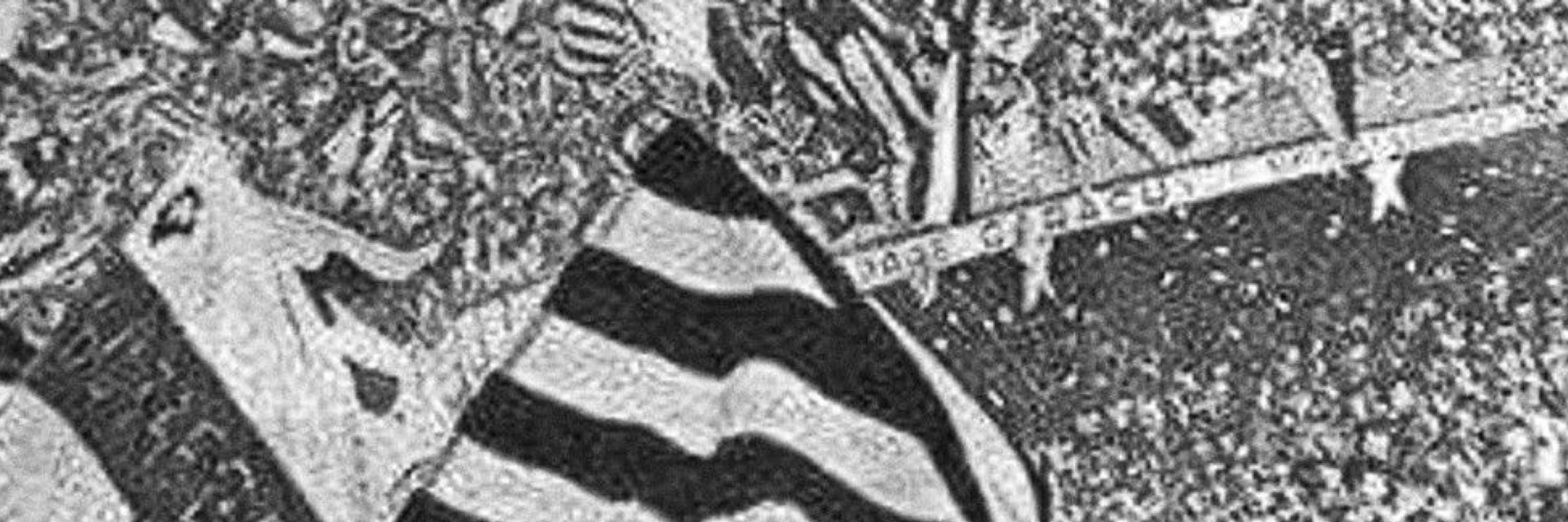 Lusca