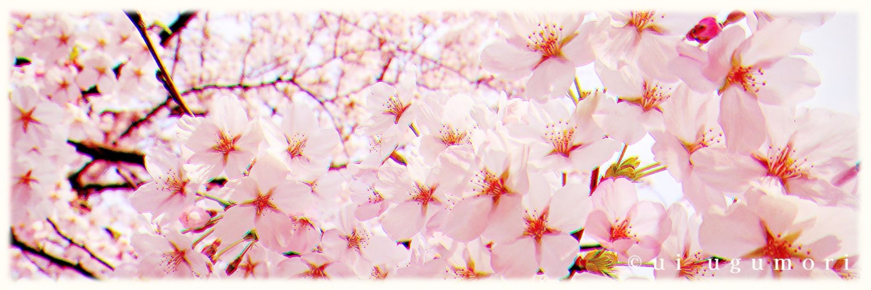 たお