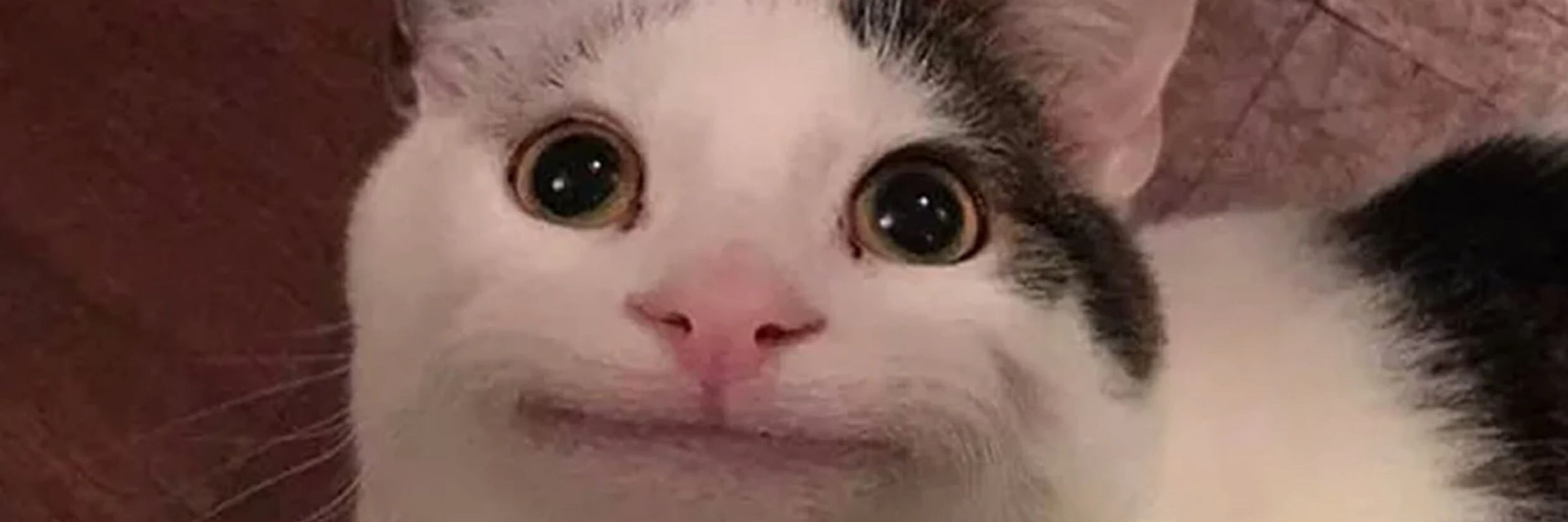Ora The Chaotic