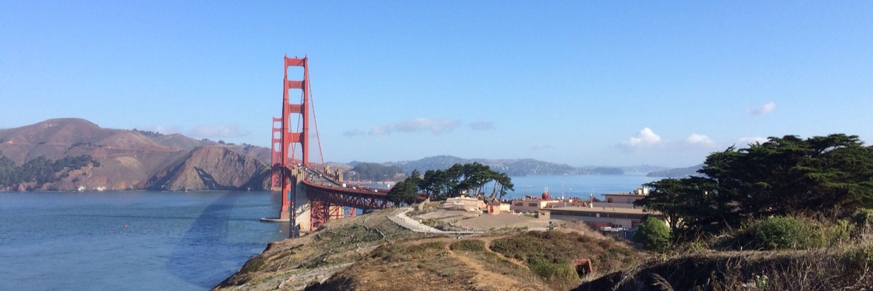 SFNode
