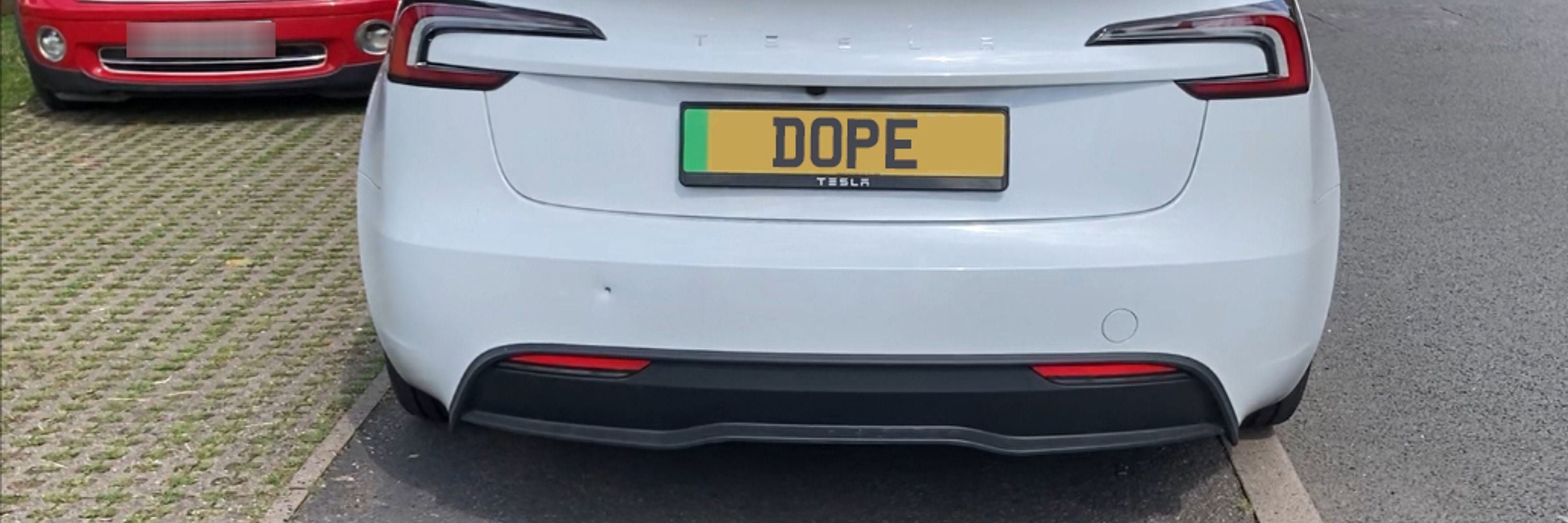 D.O.P.E.S.