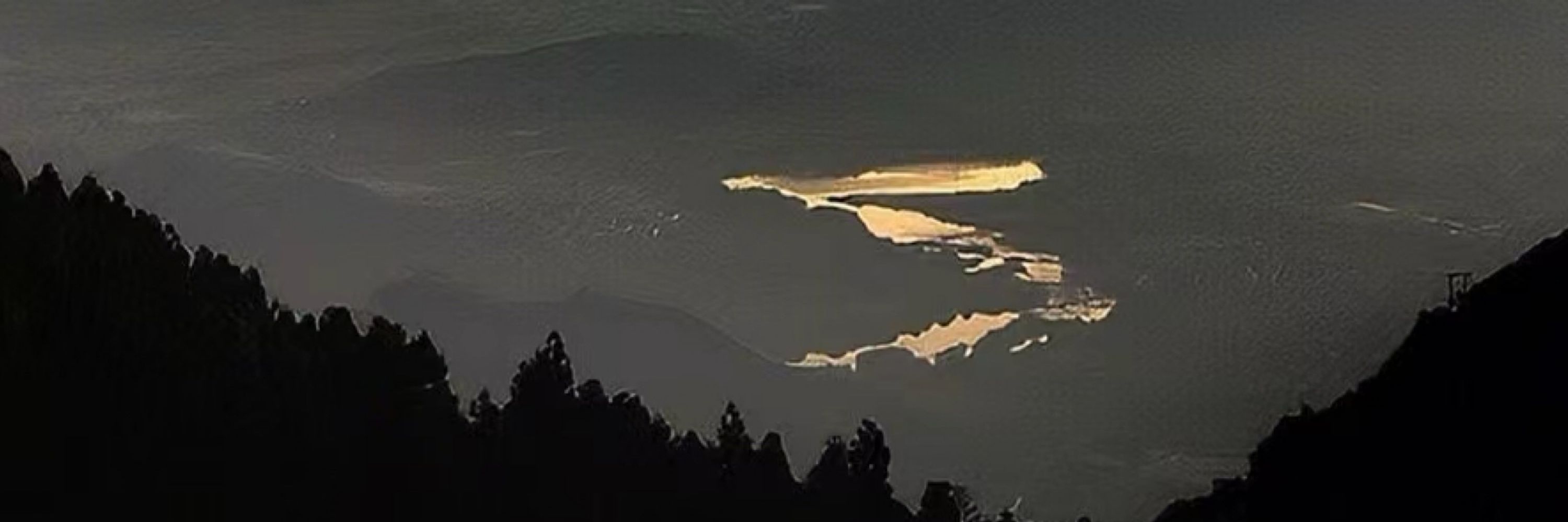 怡昂羊