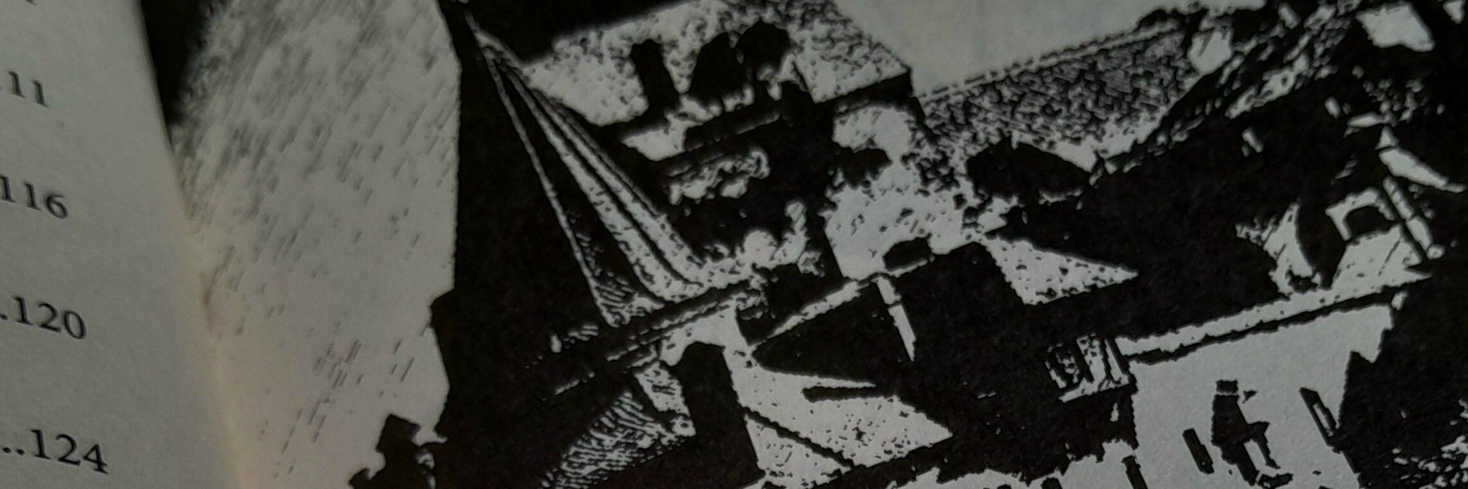 batata 