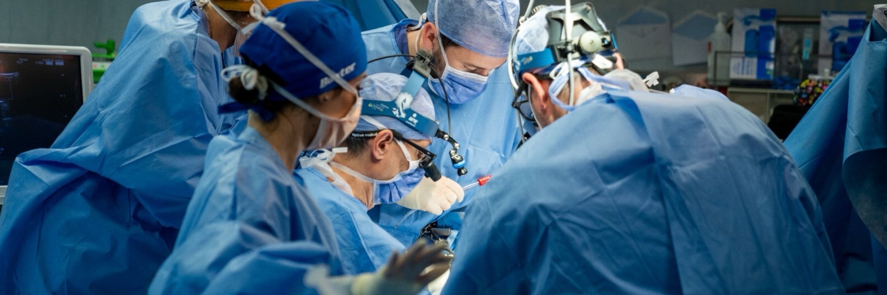 HPB and Liver Transplant Surgery Padova