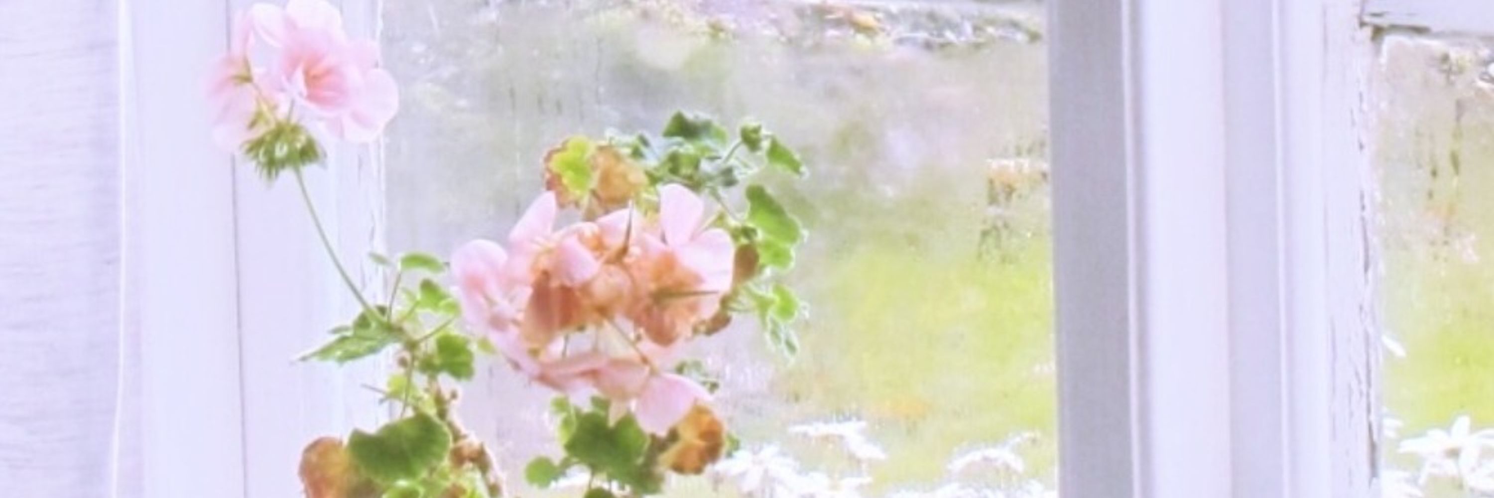 シフォン