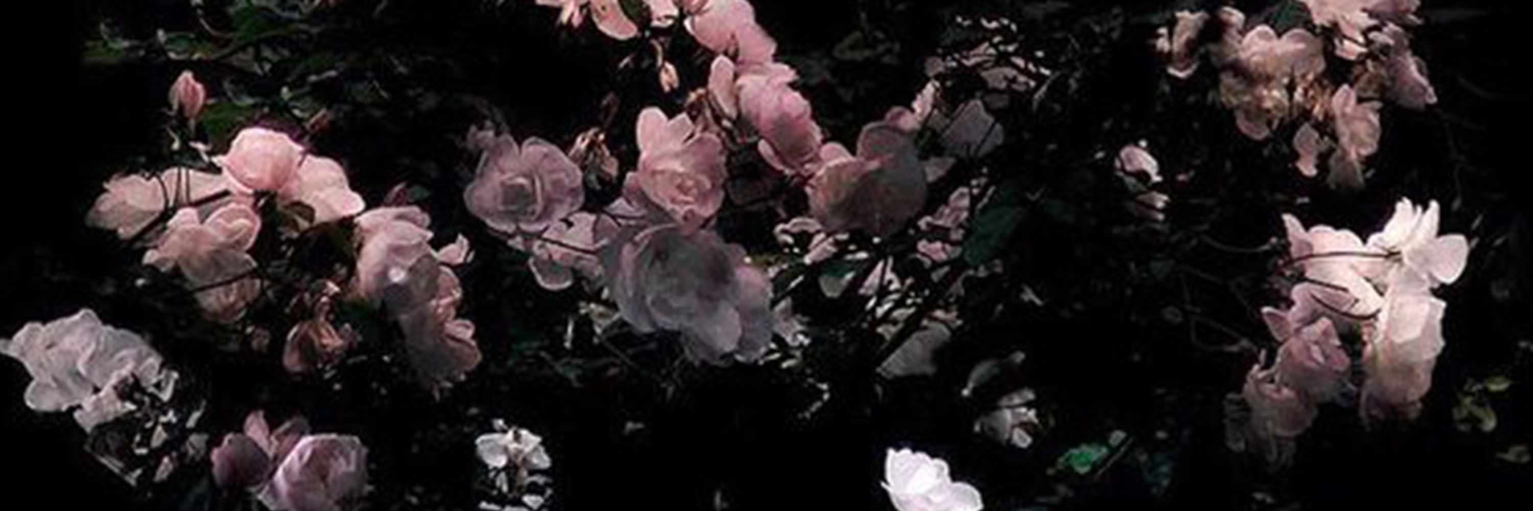𝑛 𝑖 𝑛 𝑎 .