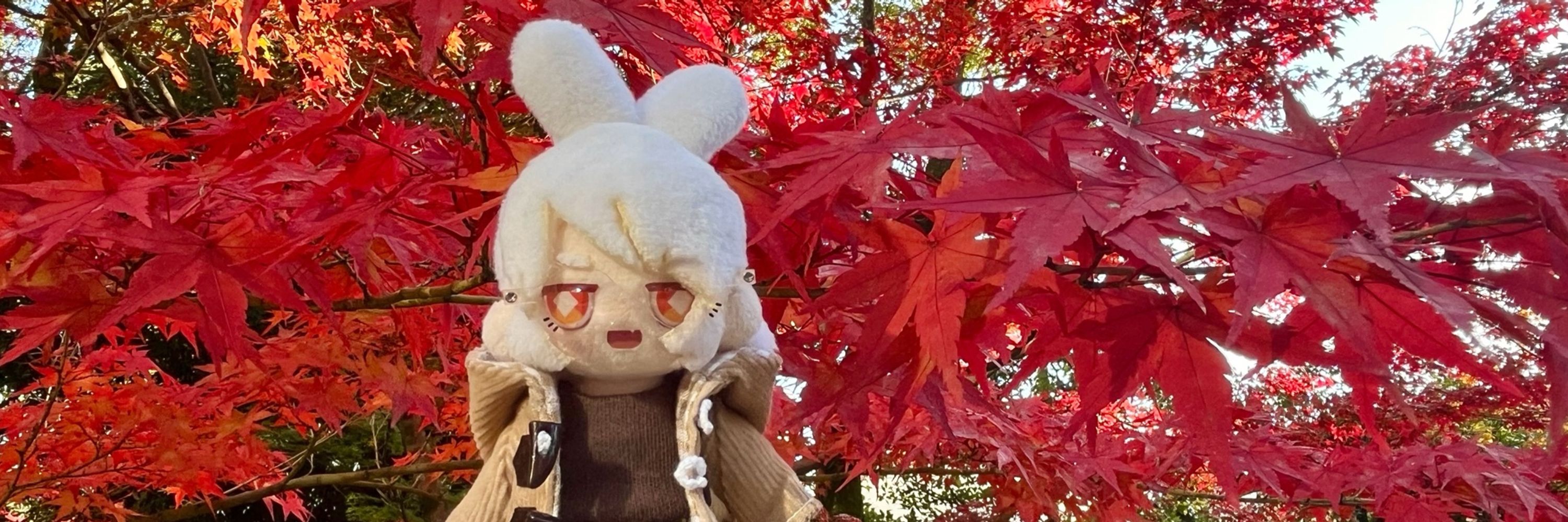 みさみさ