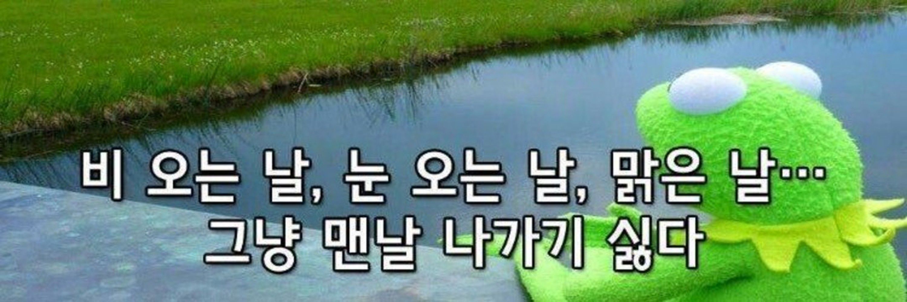 사비