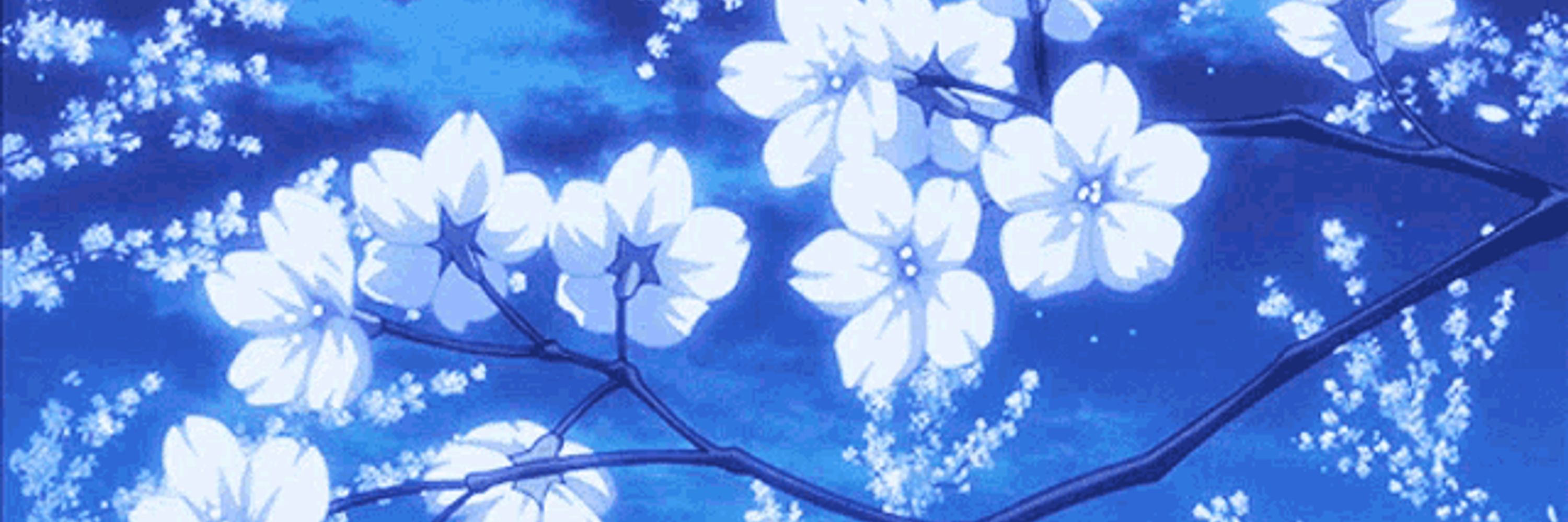 ˚₊‧⁺⋆✞𝑨𝒎𝒆𝒍𝒊𝒂
