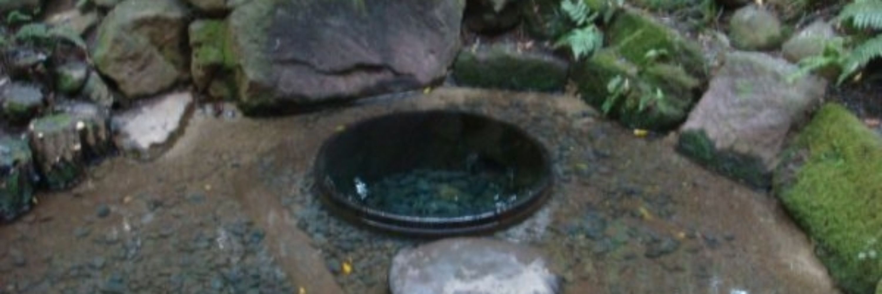 こころここ