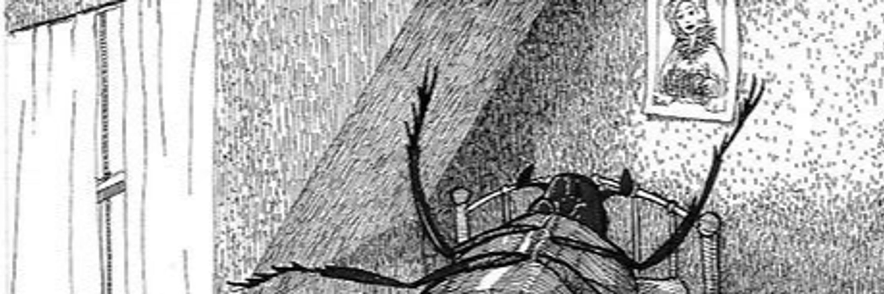 Roach