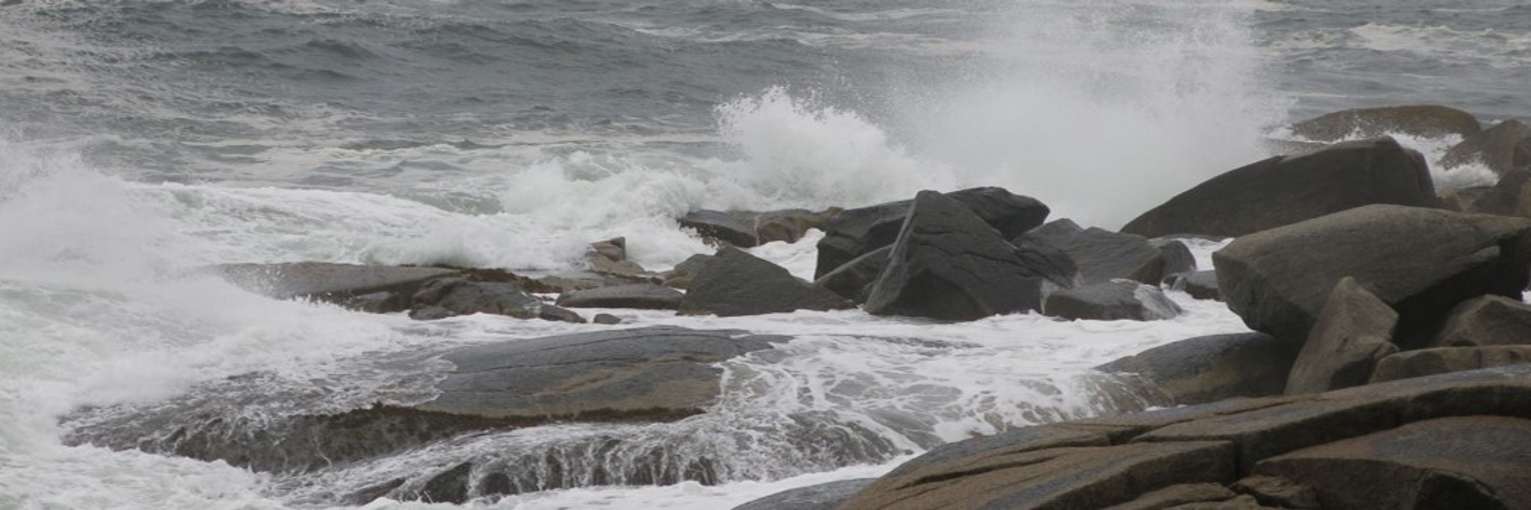 Environmental Information: Use and Influence (Dalhousie Univ.)