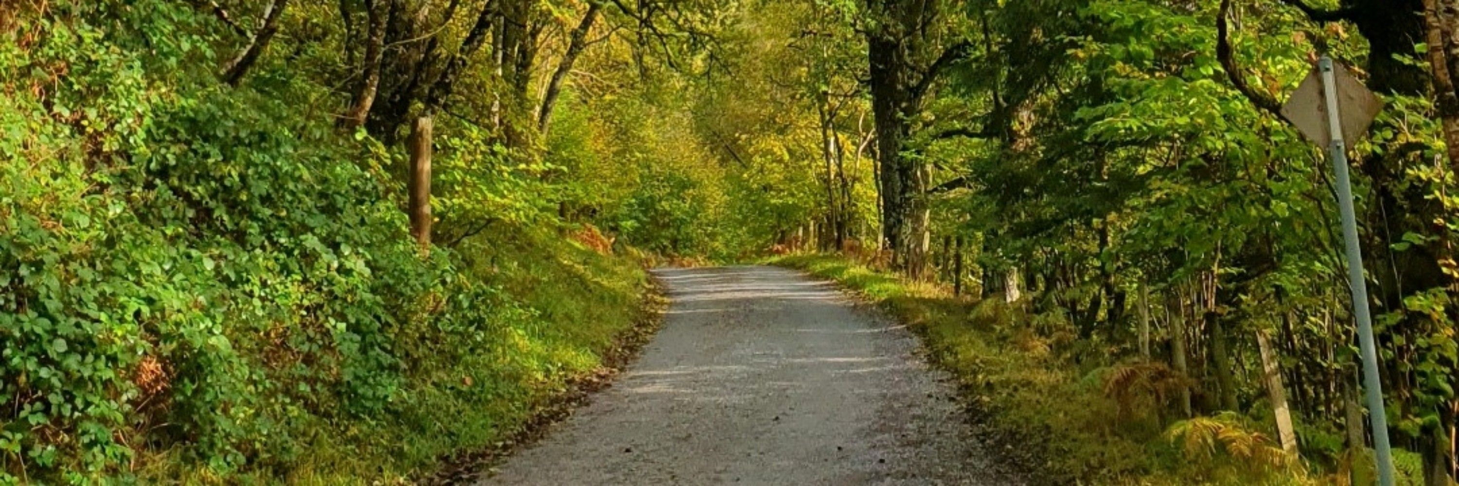 Is Lauterjung 
