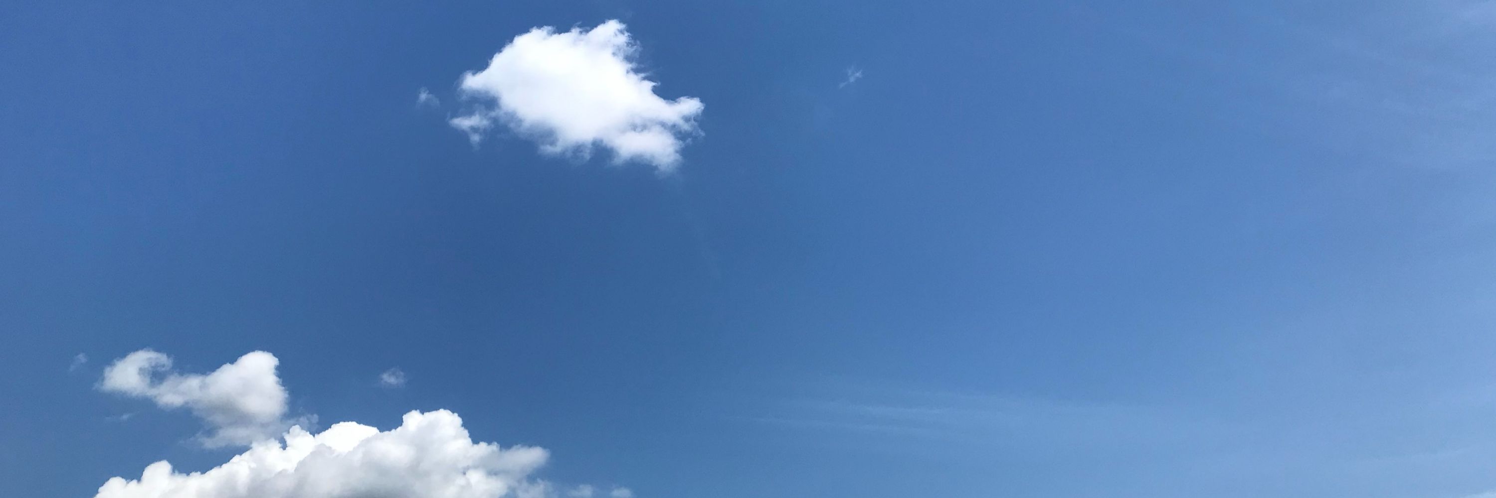 月並いおり