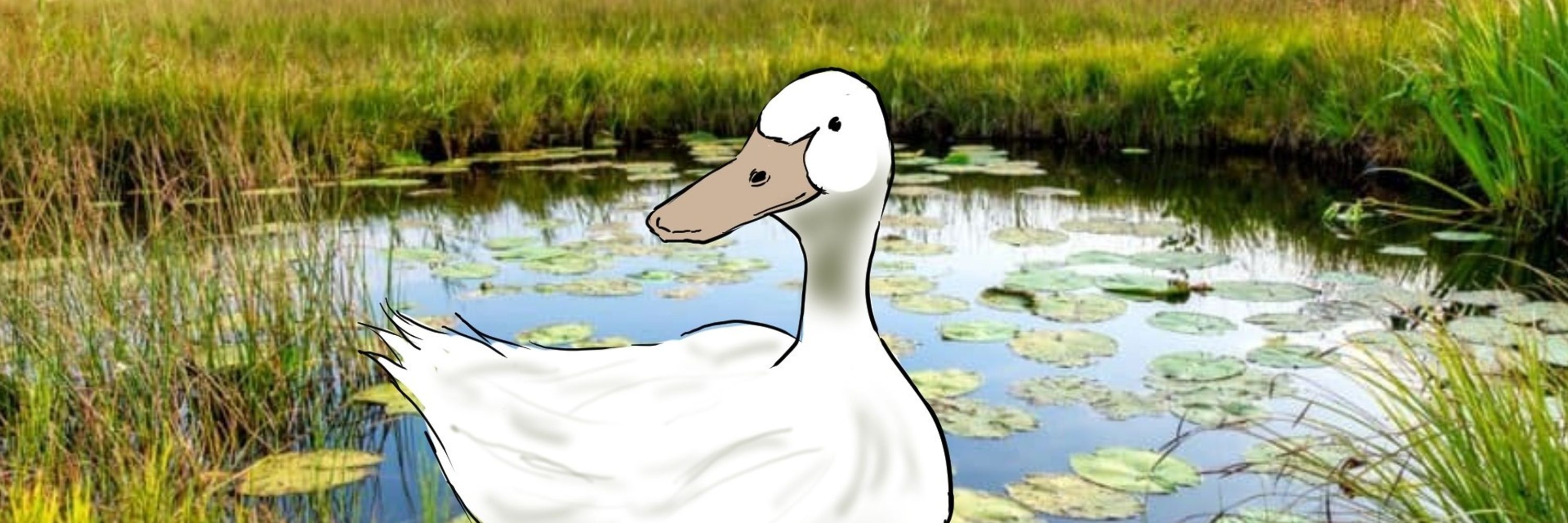 Ducky