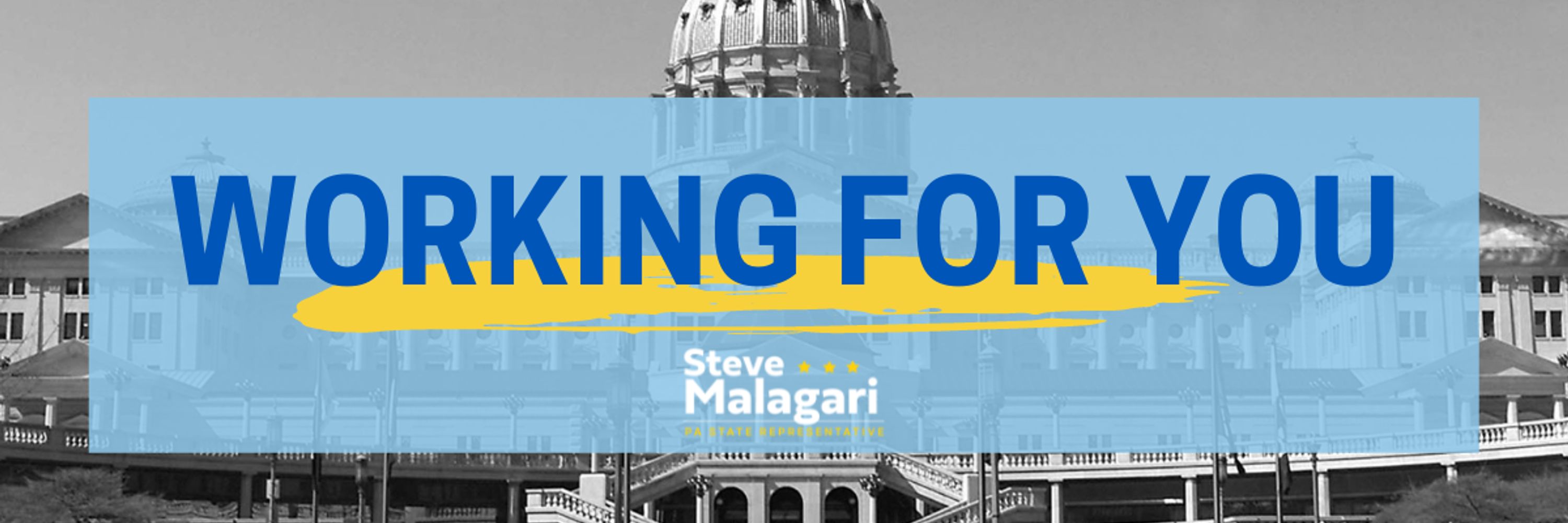 Representative Steve Malagari