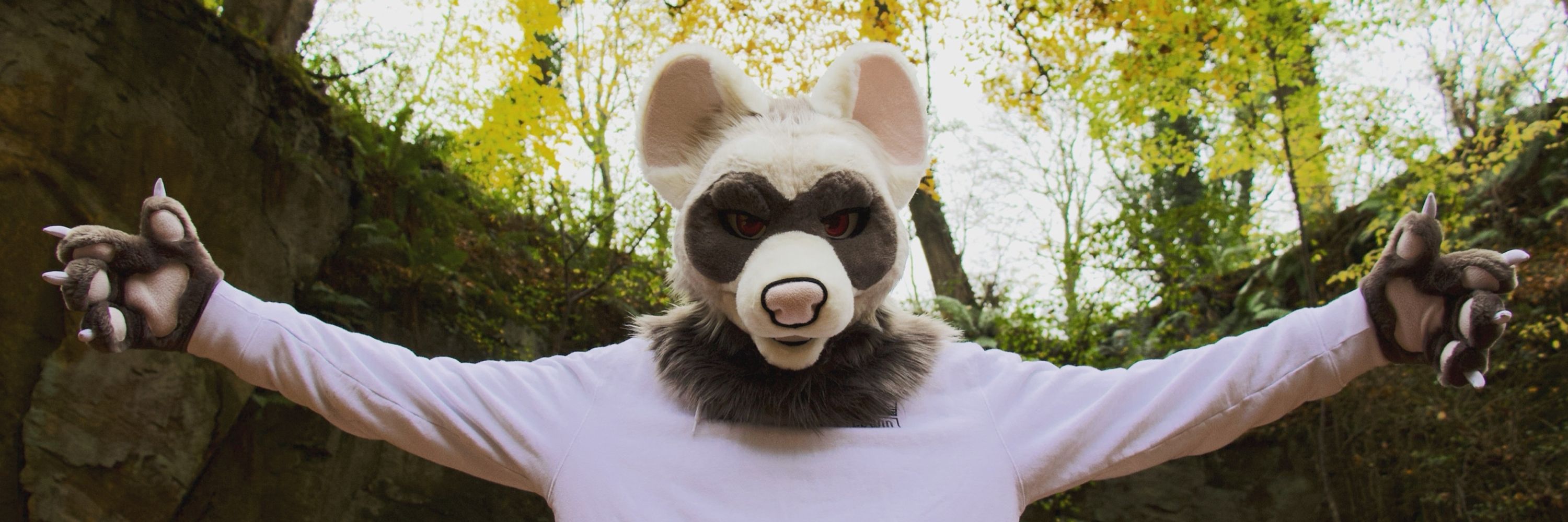 Mallow Ferret