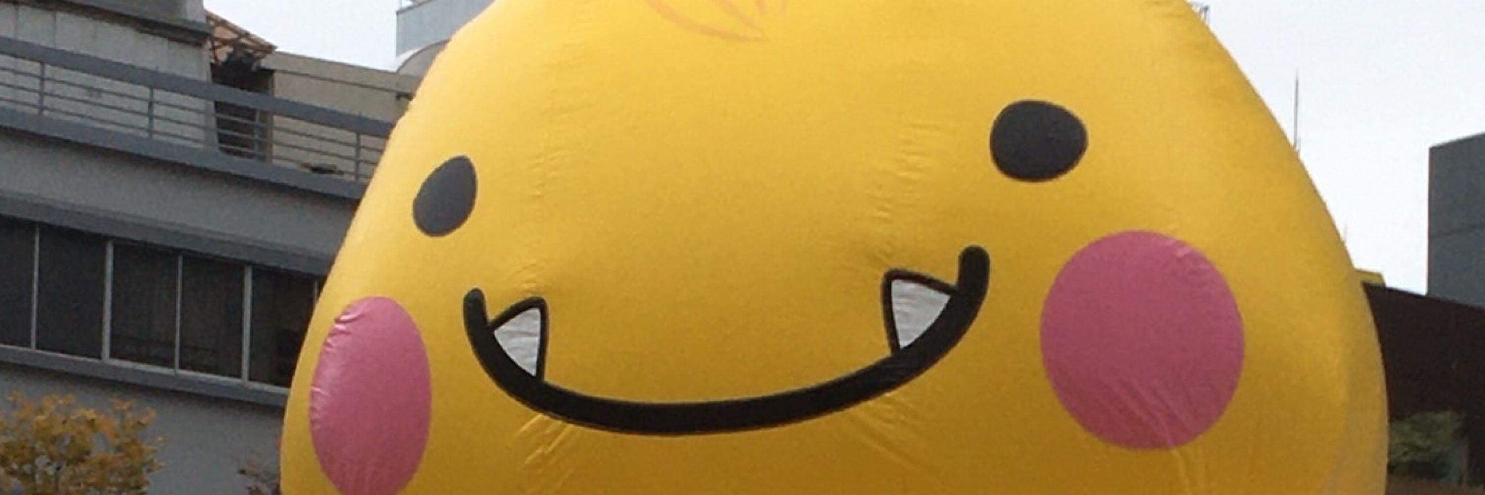 かりー