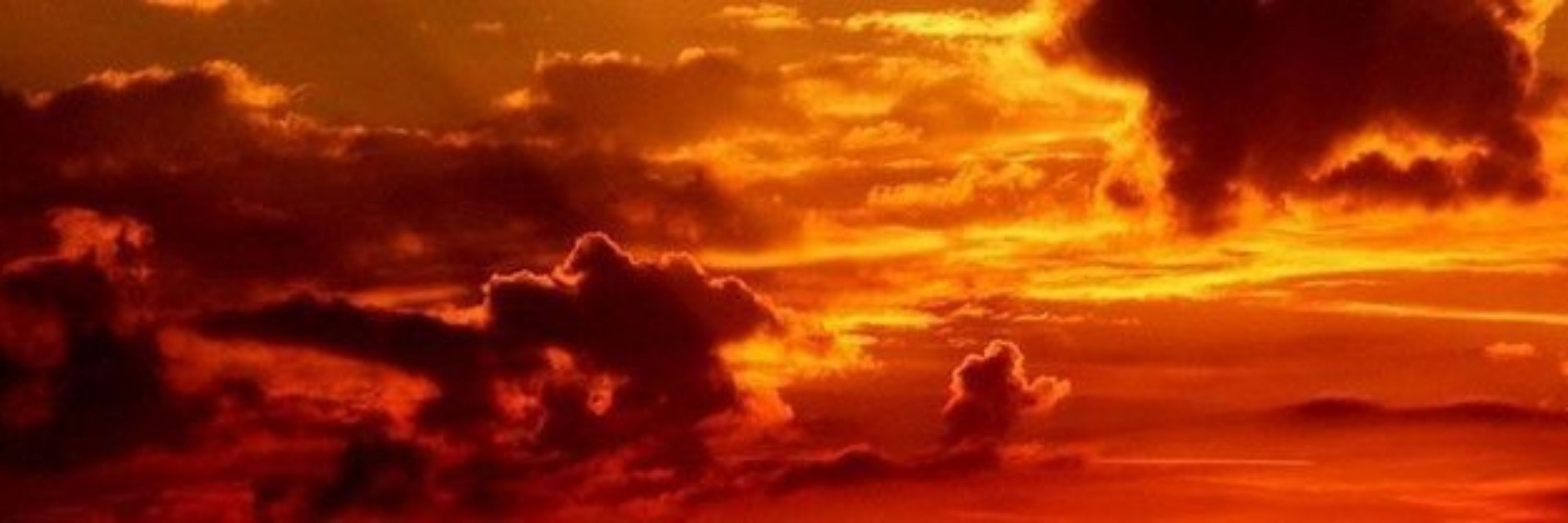 ஜ.ㅤㅤ𝐋𝐚𝐰