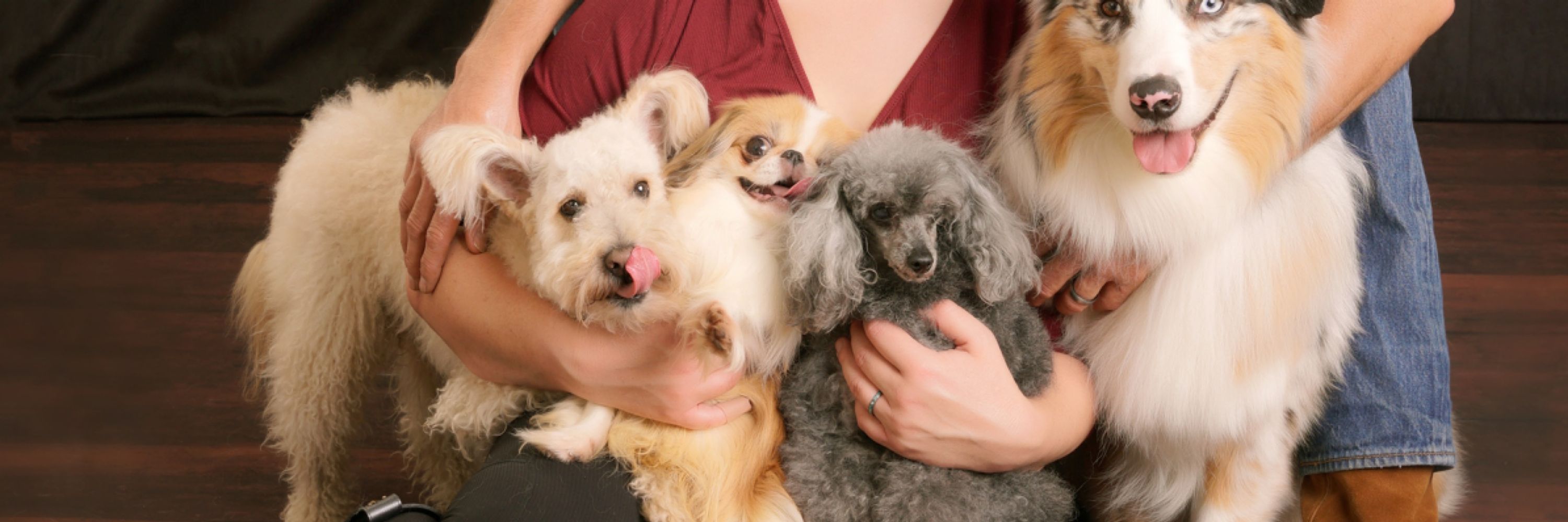 UGC Pets