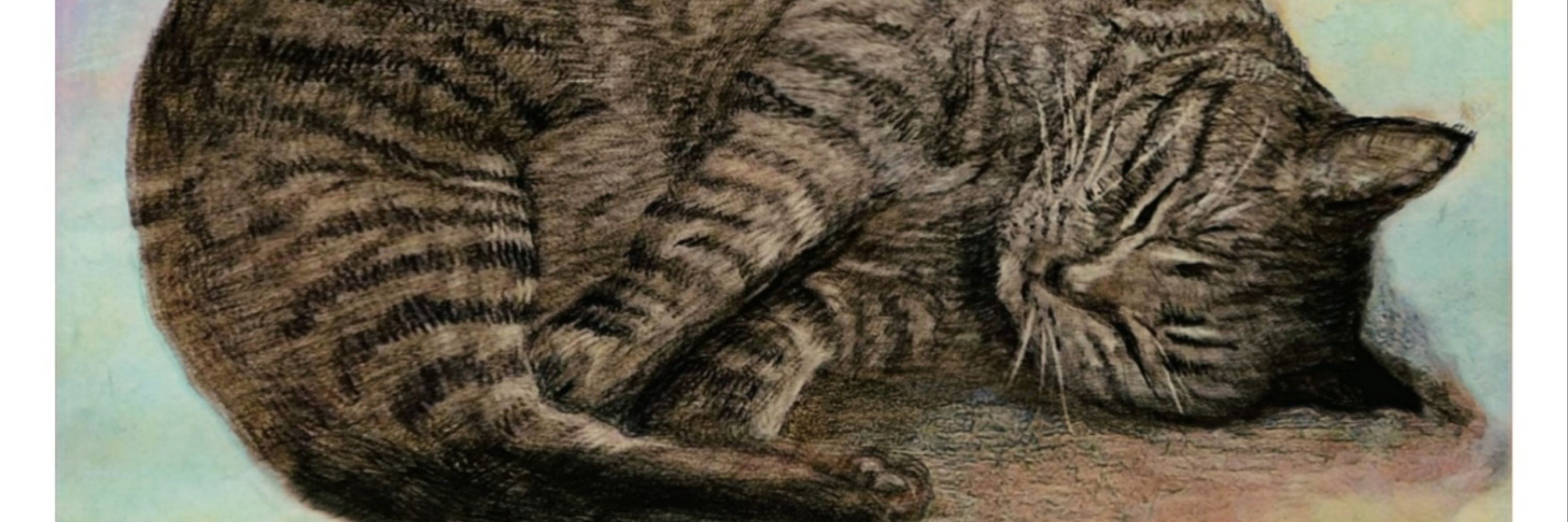 猫14匹😸とイラストレーター🖌