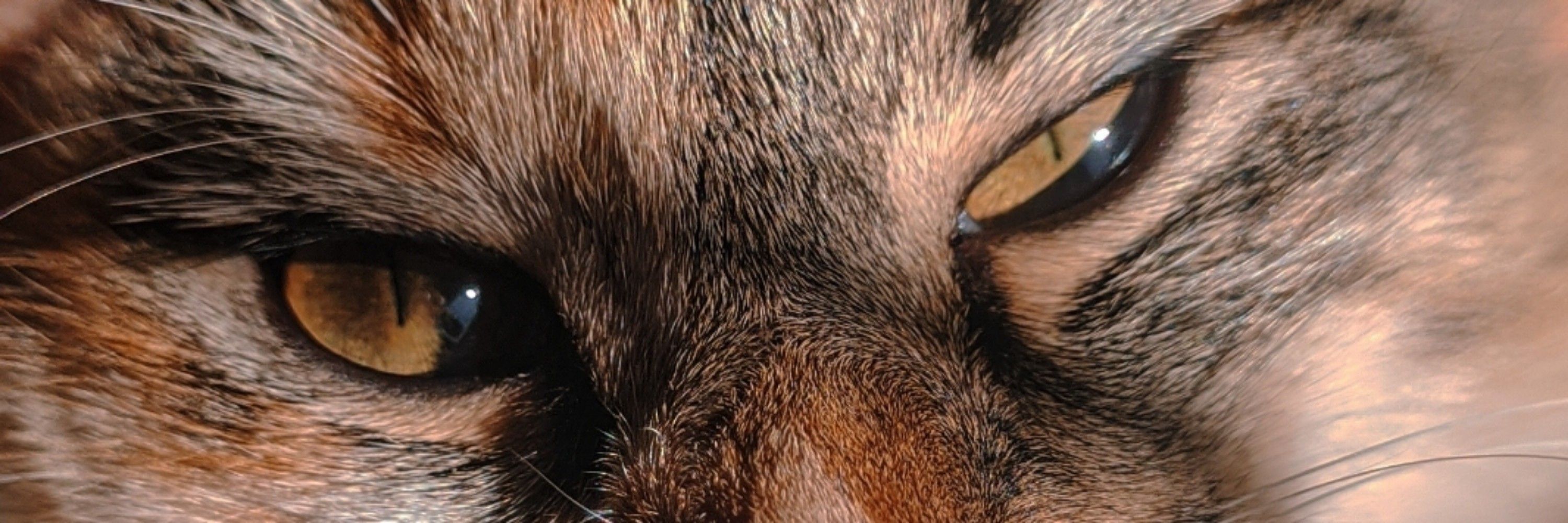luazinha