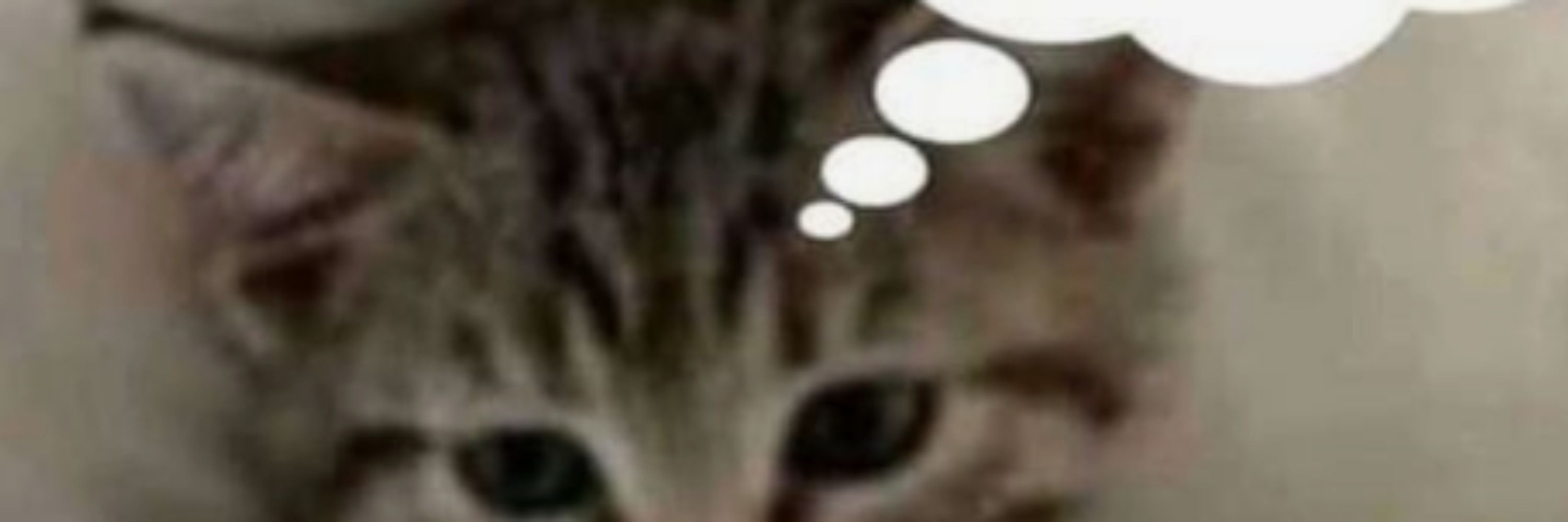 lnynux