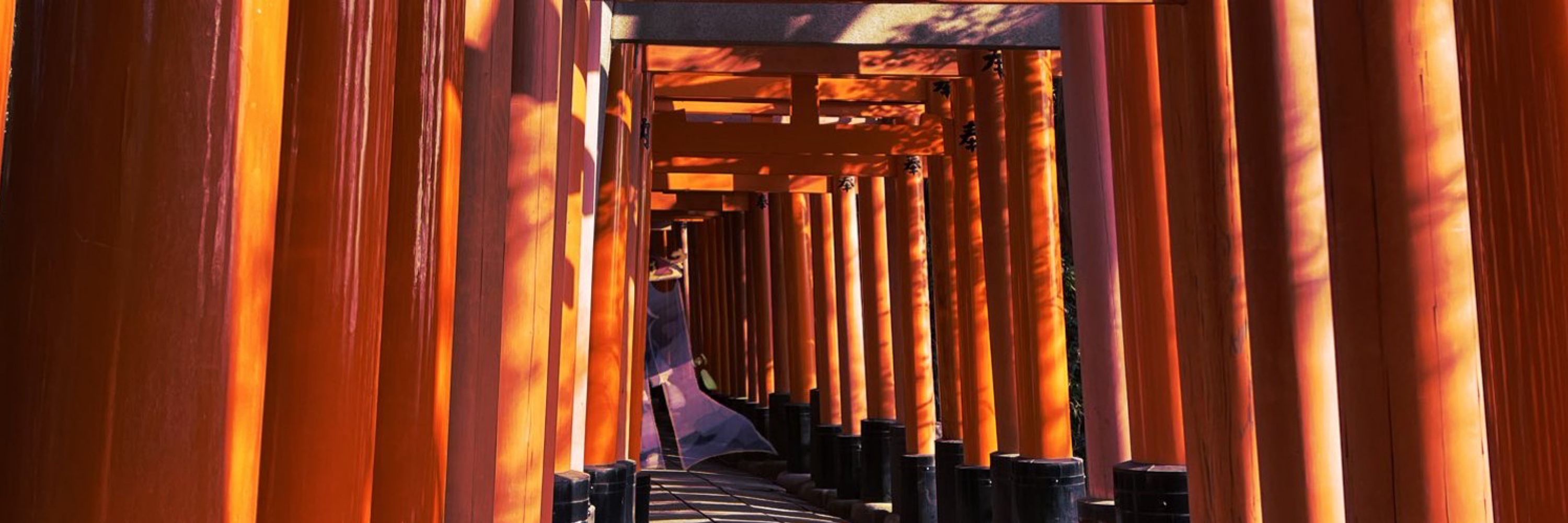 彼岸花