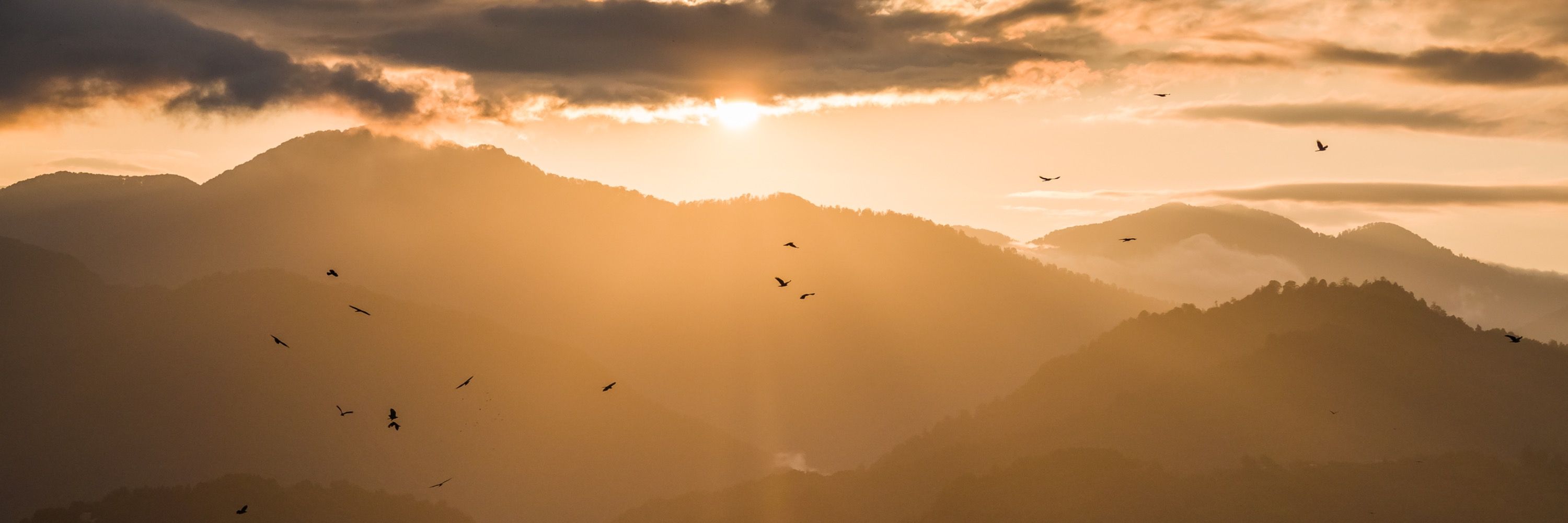 Batumi Raptor Count