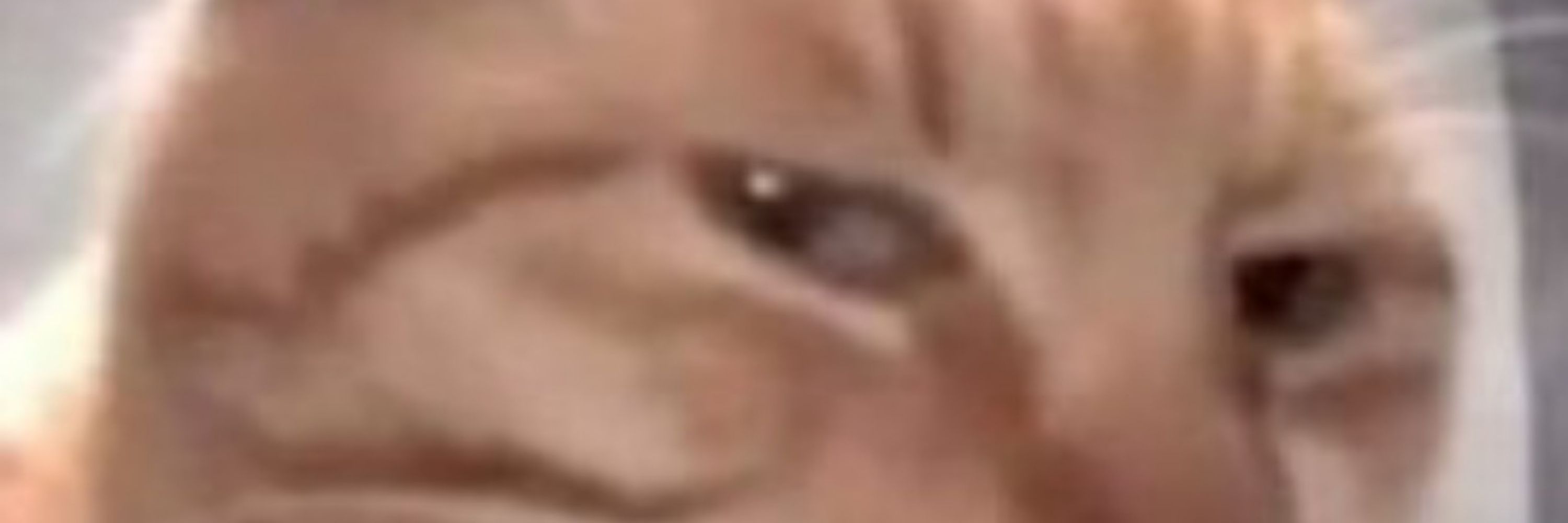 Jrawz