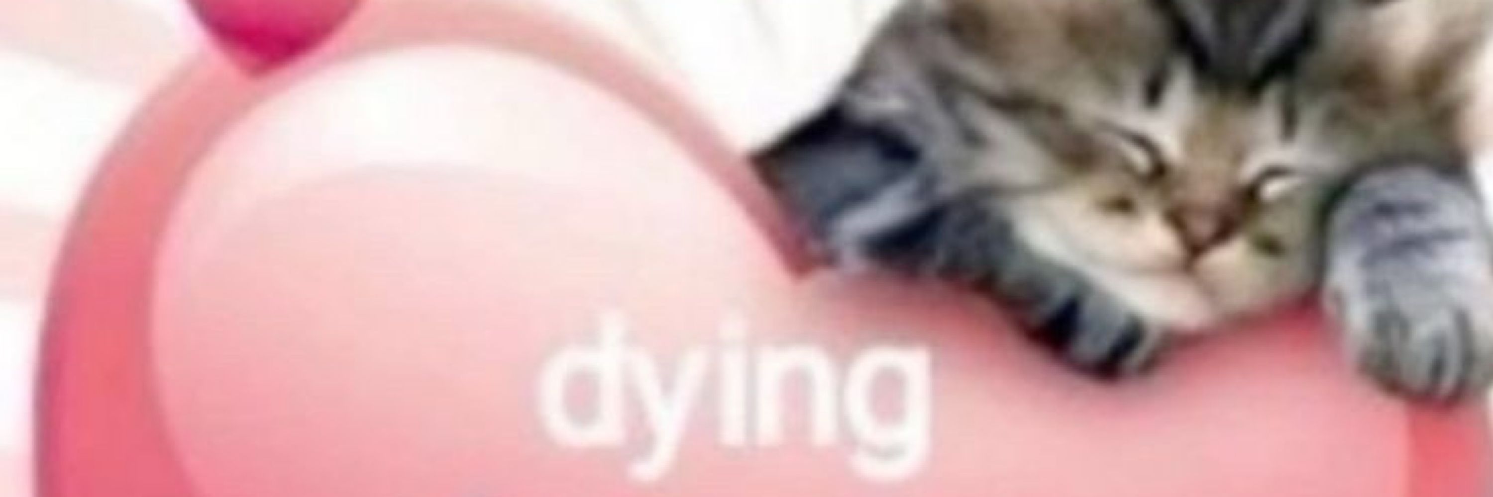 fefê