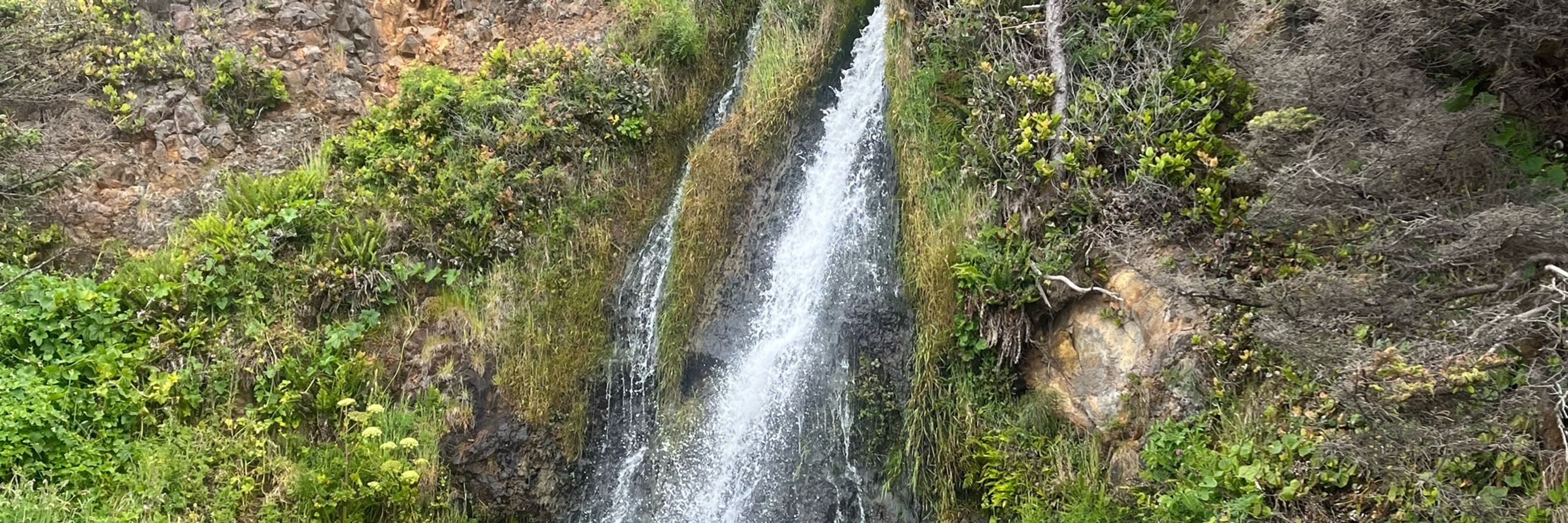Flur Na Gealaich