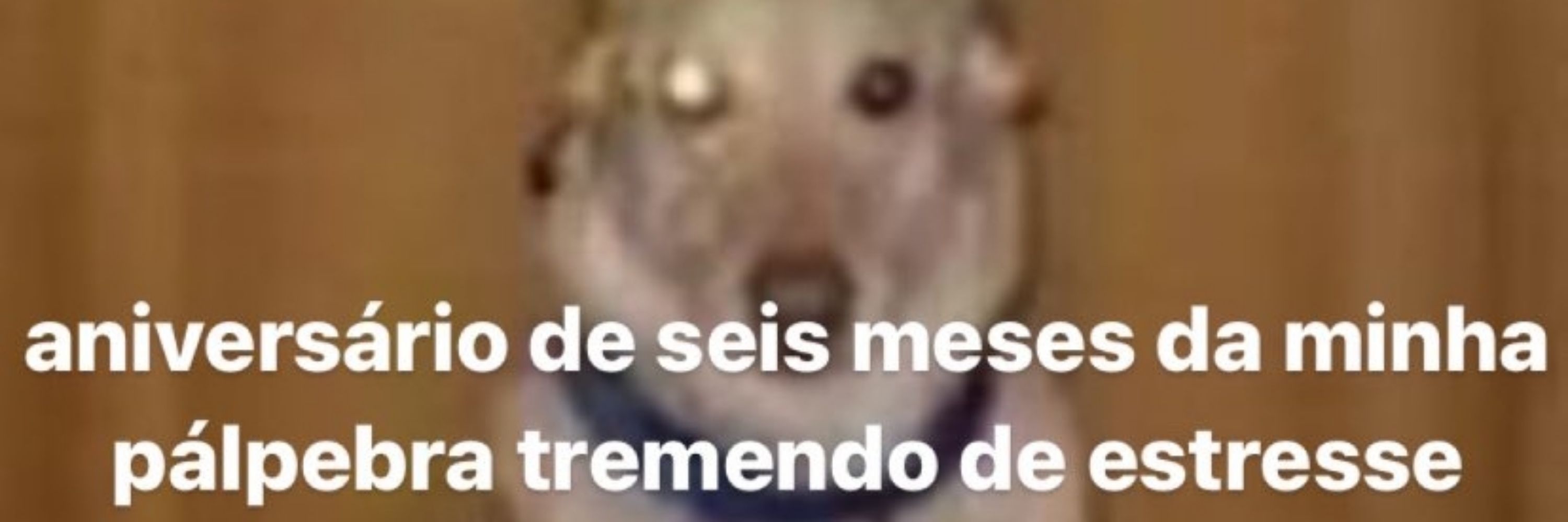 Eu só existo on-line no off eu sou sua ex 