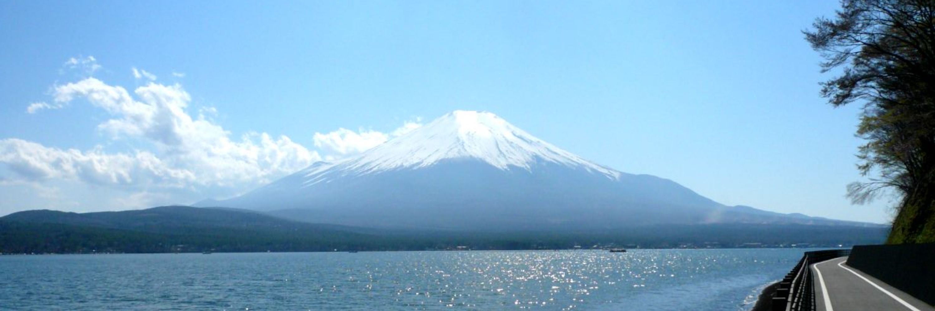 toshihiko