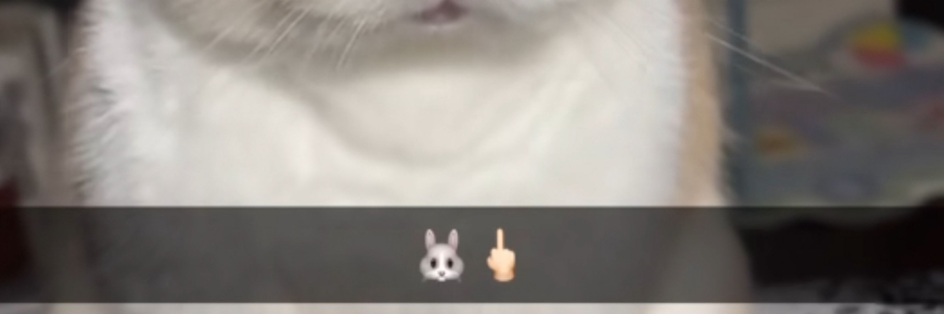Miffy
